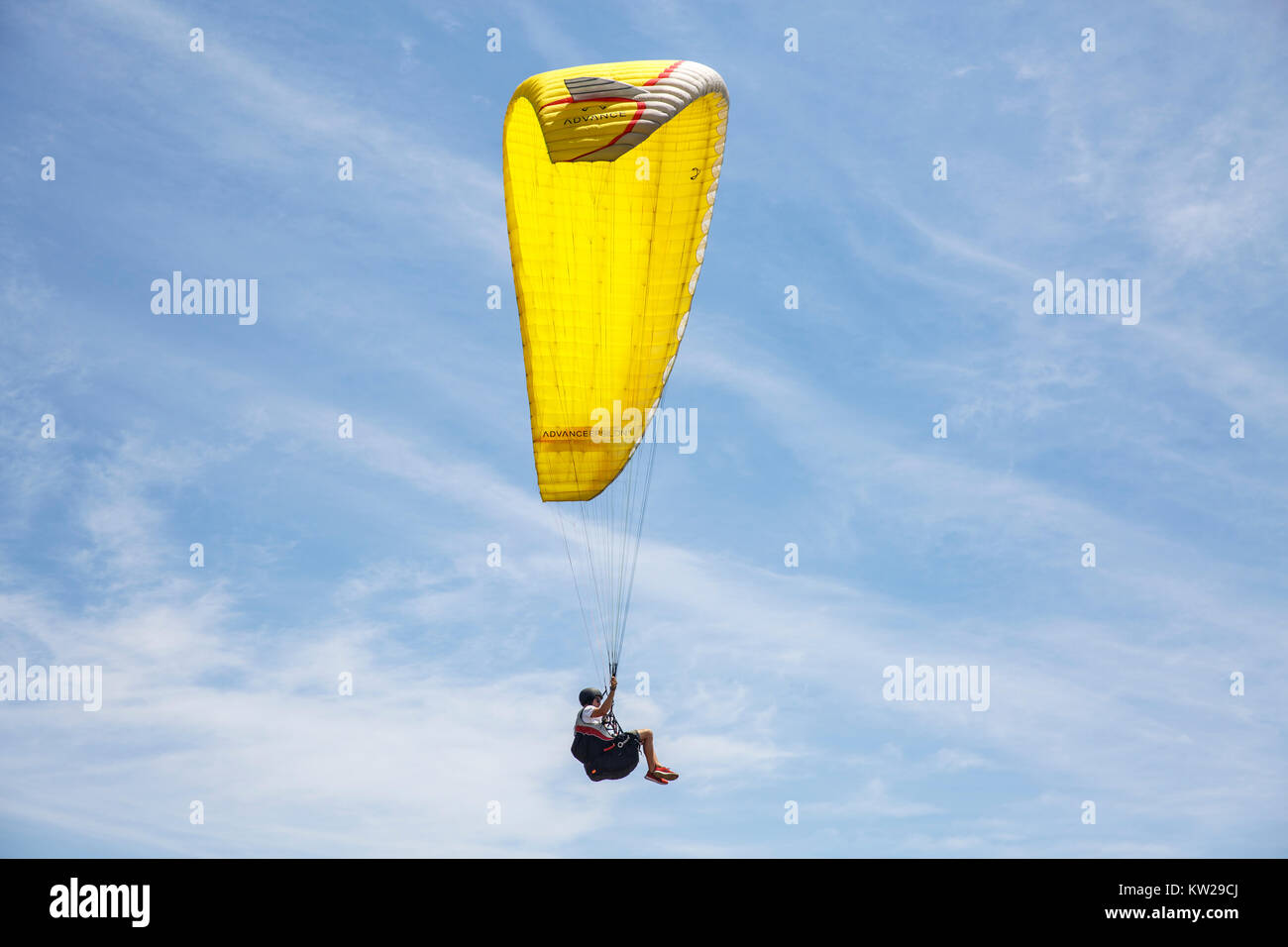 Man enjoying paragliding above Long Reef Point on Sydney northern beaches,Australia Stock Photo