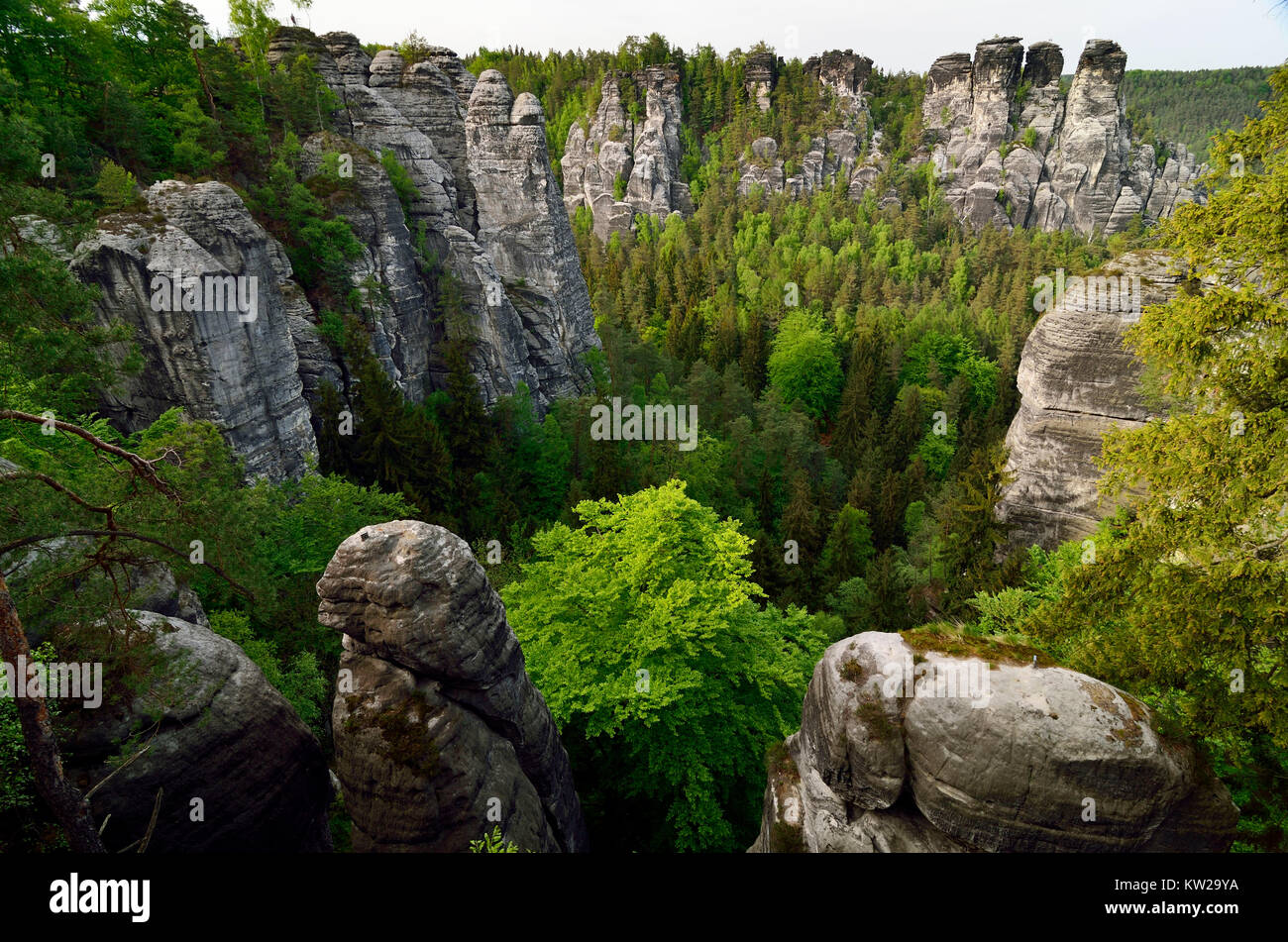 Elbsandsteingebirge, rock kettle of the Wehlgrundes under goose's rock, Felskessel des Wehlgrundes unter Gansfelsen Stock Photo