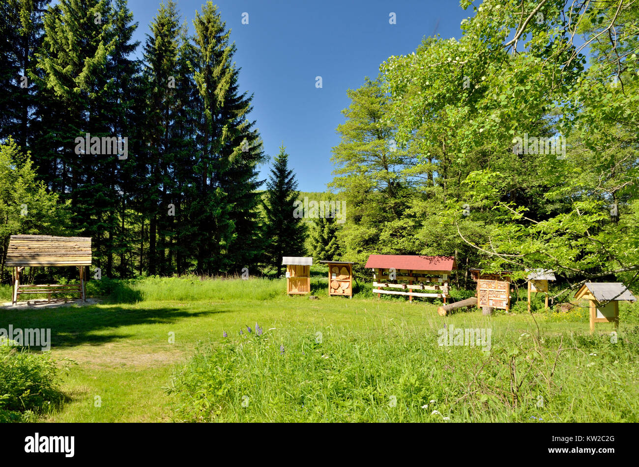 Osterzgebirge, the Erzgebirge, nature reserve Gimmlitztal, resting place with teaching boards in the dark bush mill, Erzgebirge, Naturschutzgebiet Gim Stock Photo