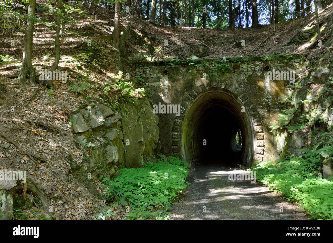 Elbsandsteingebirge, Saxon Switzerland, tunnel of the former small section in the black brook valley, Sächsische Schweiz, Tunnel der ehemaligen Kleinb Stock Photo