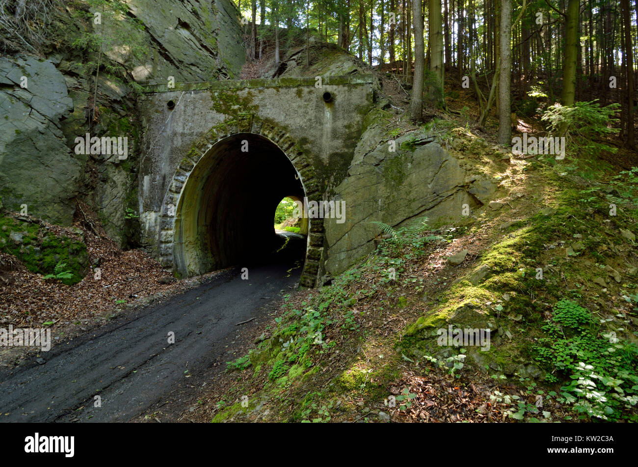 Elbsandsteingebirge, Saxon Switzerland, tunnel of the former small section in the black brook valley, Sächsische Schweiz, Tunnel der ehemaligen Kleinb Stock Photo