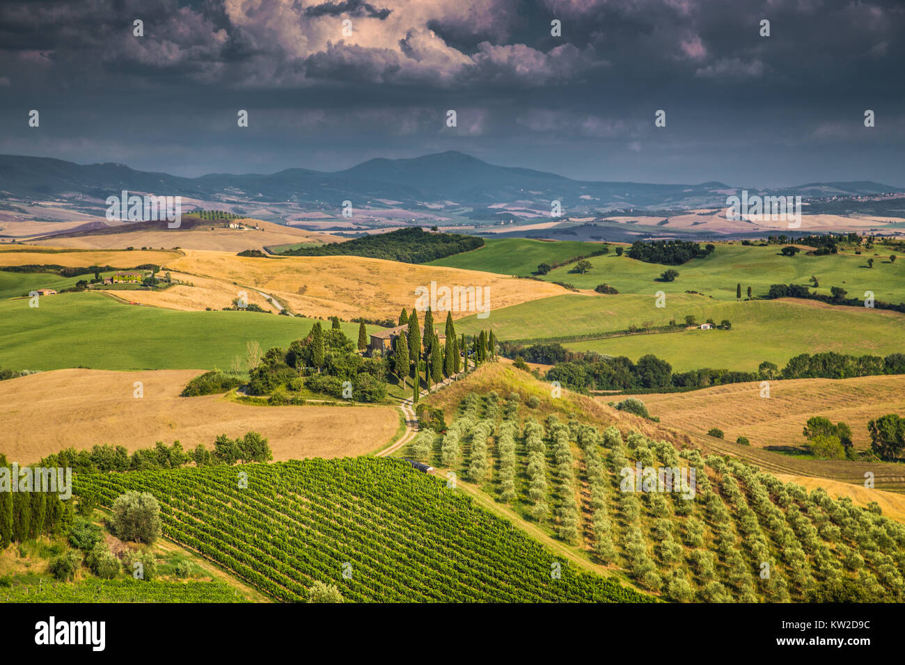 Scenic Tuscany landscape with rolling hills and valleys in golden evening light, Val d'Orcia, Italy Stock Photo