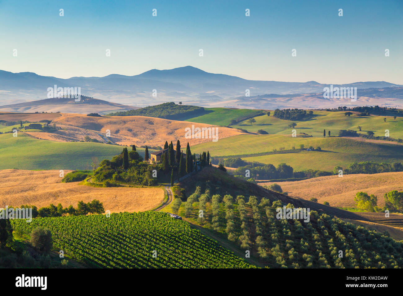 Classic view of scenic Tuscany landscape with famous farmhouse amidst idyllic rolling hills and valleys in beautiful golden morning light at sunrise i Stock Photo