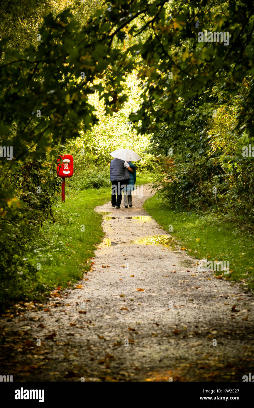 A couple share an umbrella as they walk in woodlands during a rain shower Stock Photo