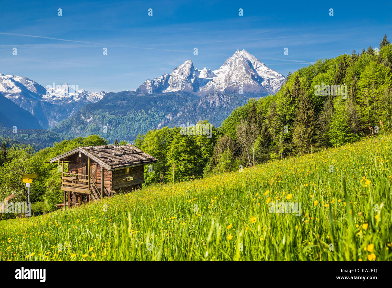 Panoramic view of idyllic mountain landscape in the Alps with fresh green mountain pastures, flowers and old traditional mountain lodge in springtime Stock Photo
