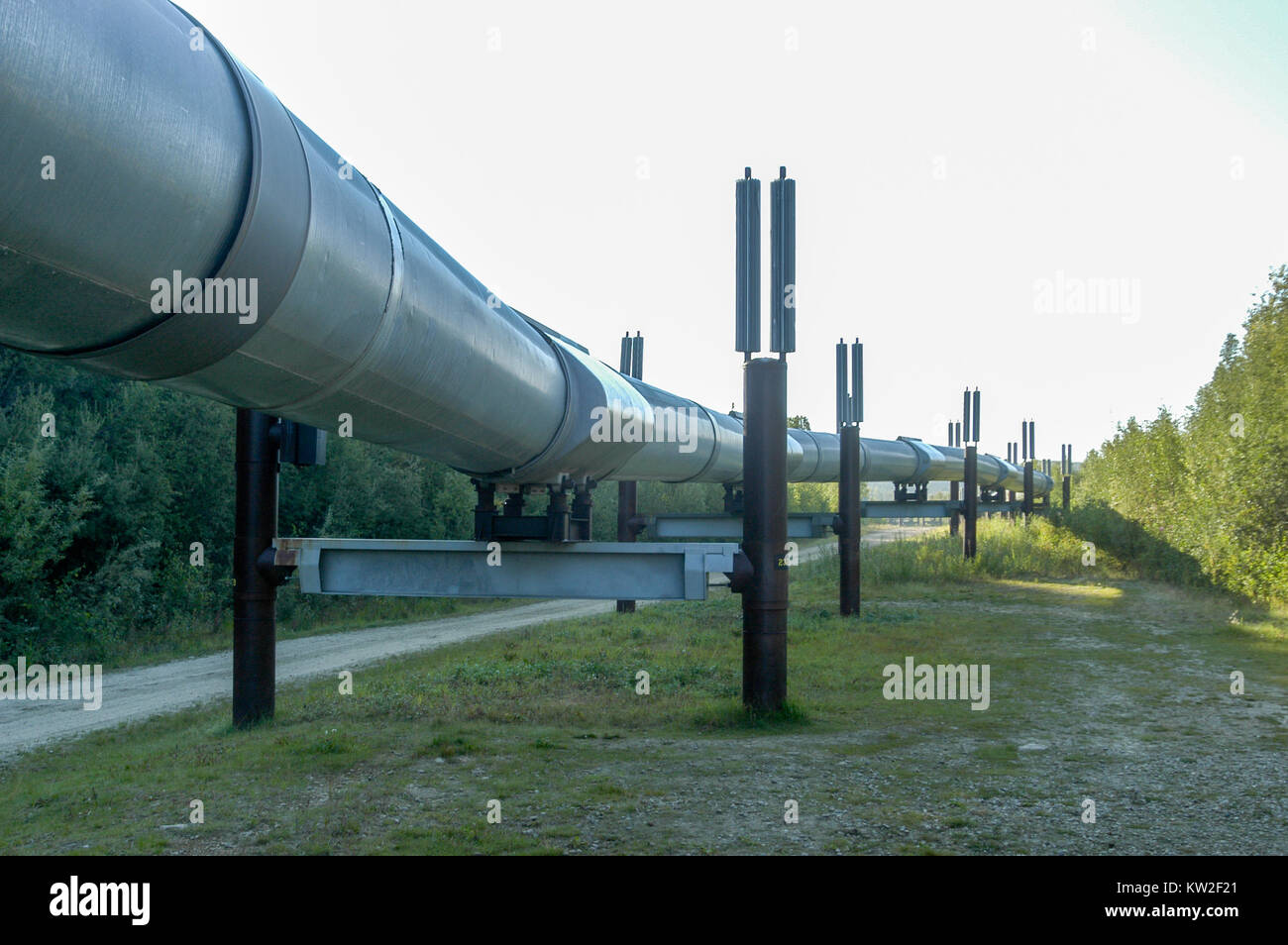 The Trans-Alaska oil pipeline (Alyeska pipeline) in Alaska Stock Photo