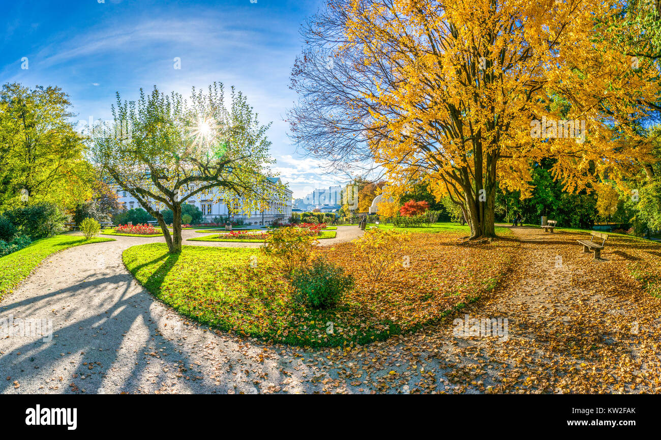 Beautiful park foliage trees hi-res stock photography and images - Alamy