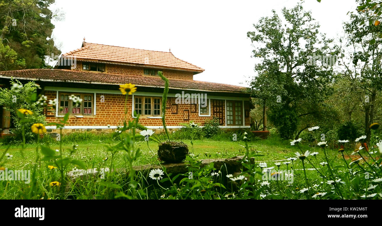 Home Exterior, View of the exterior of a luxury home with daisy flowers