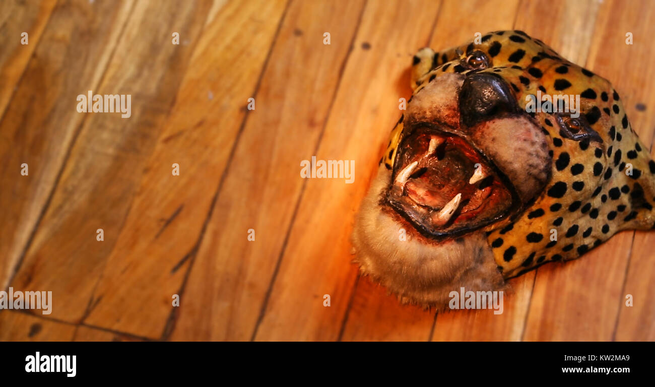 Tiger Mask On Wooden Floor Stock Photo 170319585 Alamy