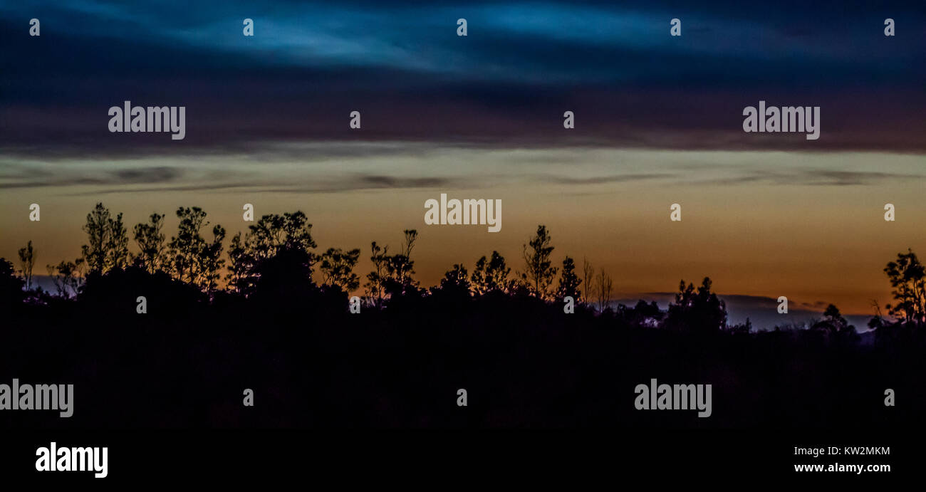 Sunset scene with orange sky and silhouetted trees Stock Photo - Alamy