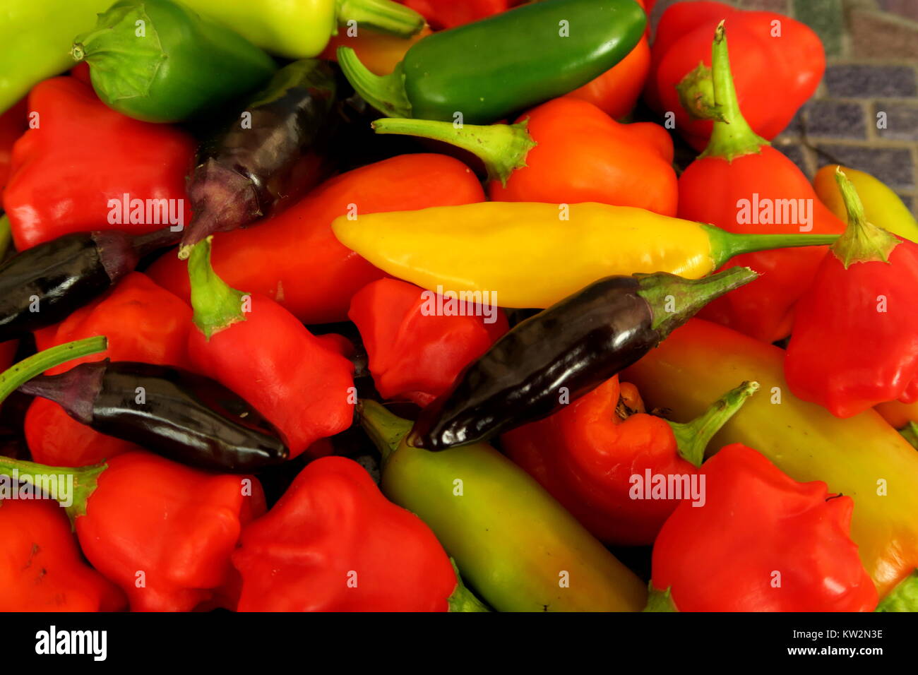 Chilli friars hat hires stock photography and images Alamy
