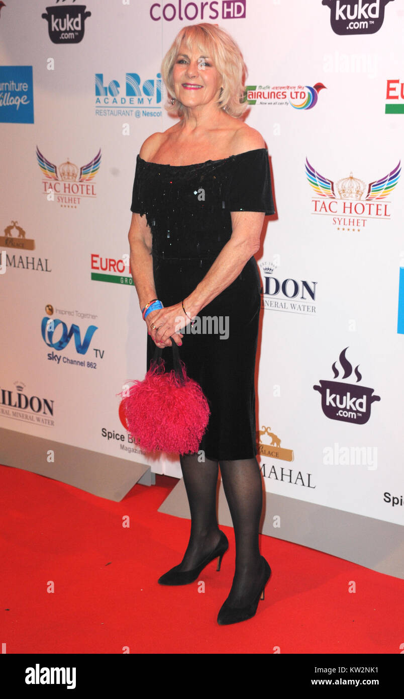 British Curry Awards 2017 held at Battersea Park - Arrivals  Featuring: Nina Myskow Where: London, United Kingdom When: 27 Nov 2017 Credit: WENN.com Stock Photo