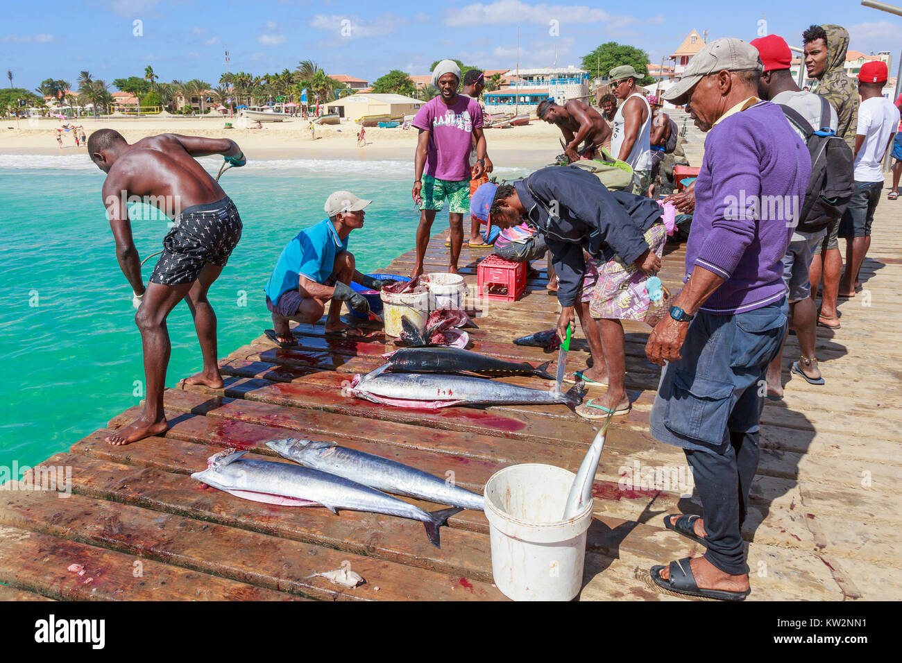 Local fishermen selling freshly caught fish from the wooden pier at ...