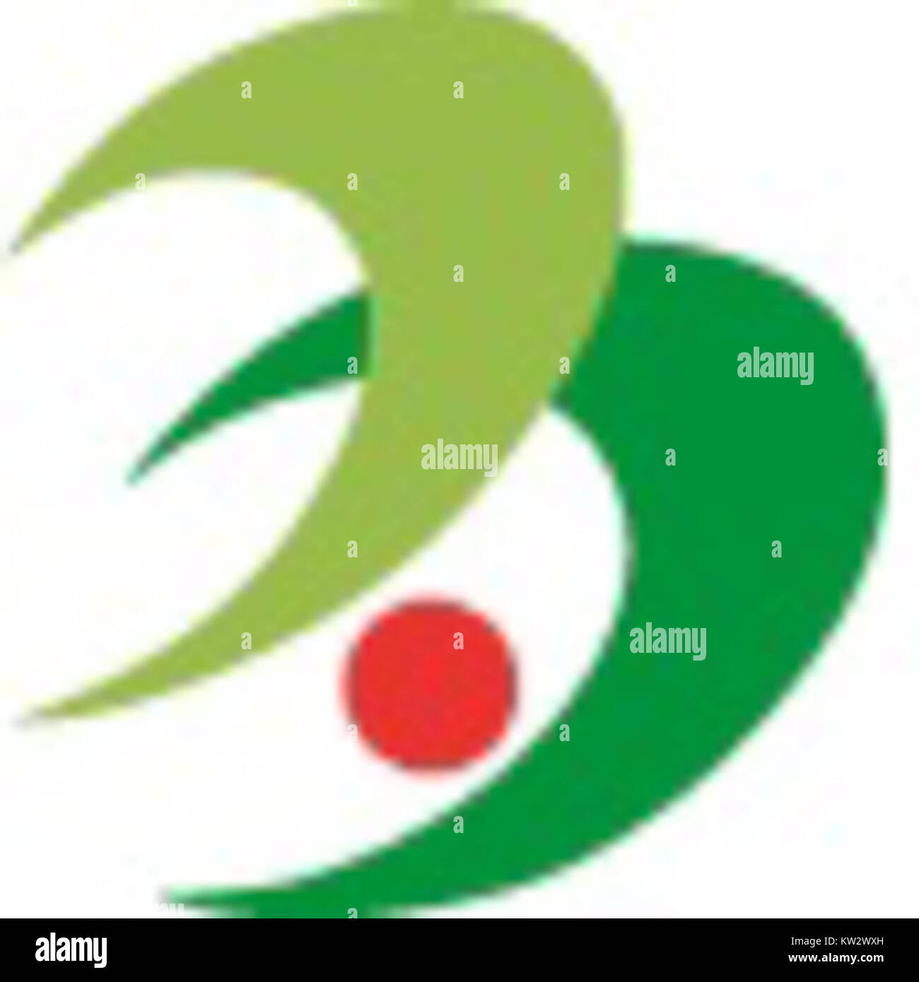 The Taka Hyogo chapter refers to a specific section of an organization ...