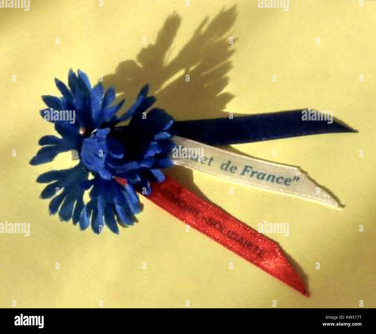 The Bleuet De France Is A Symbol Of Remembrance And Solidarity First the-bleuet-de-france-is-a-symbol-of-remembrance-and-solidarity-first