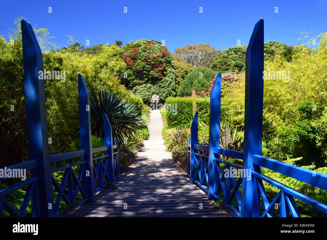 The Blue Wooden Bridge near the Entrance to the Abbey Gardens, Tresco Island, Isles of Scilly, Cornwall, UK Stock Photo
