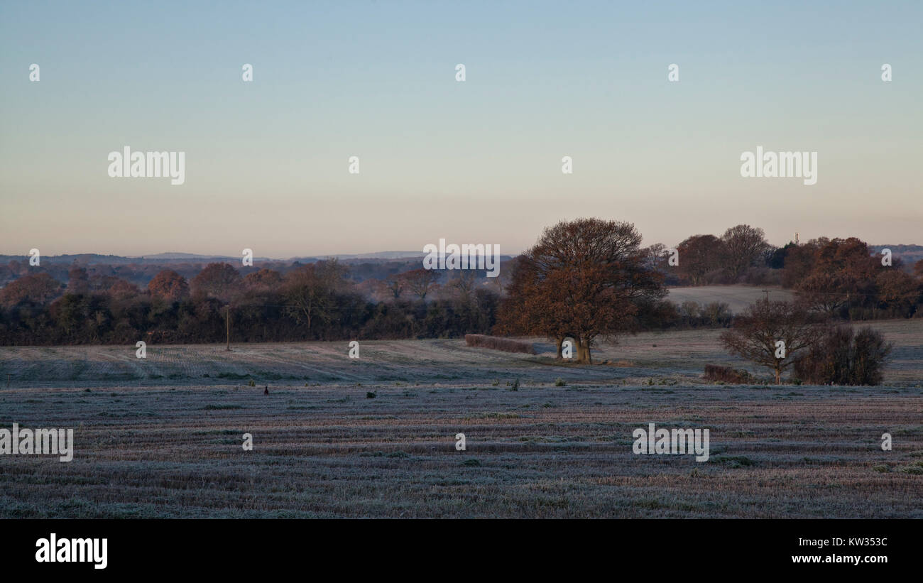 Frosty Dawn, Henfield, West Sussex Stock Photo