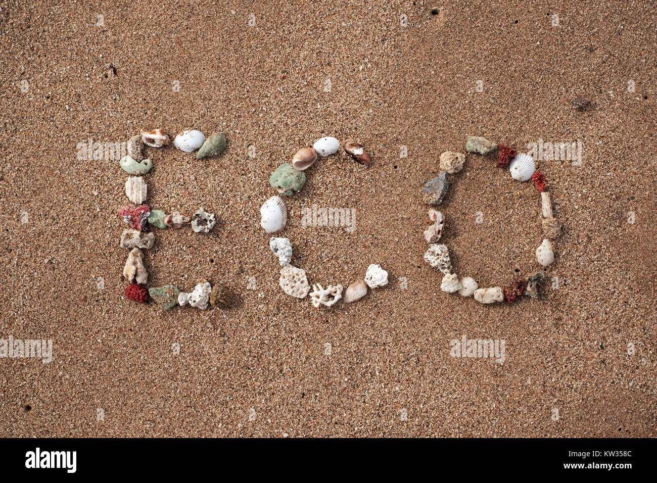 text eco made from shell on clean sandy beach. Stock Photo