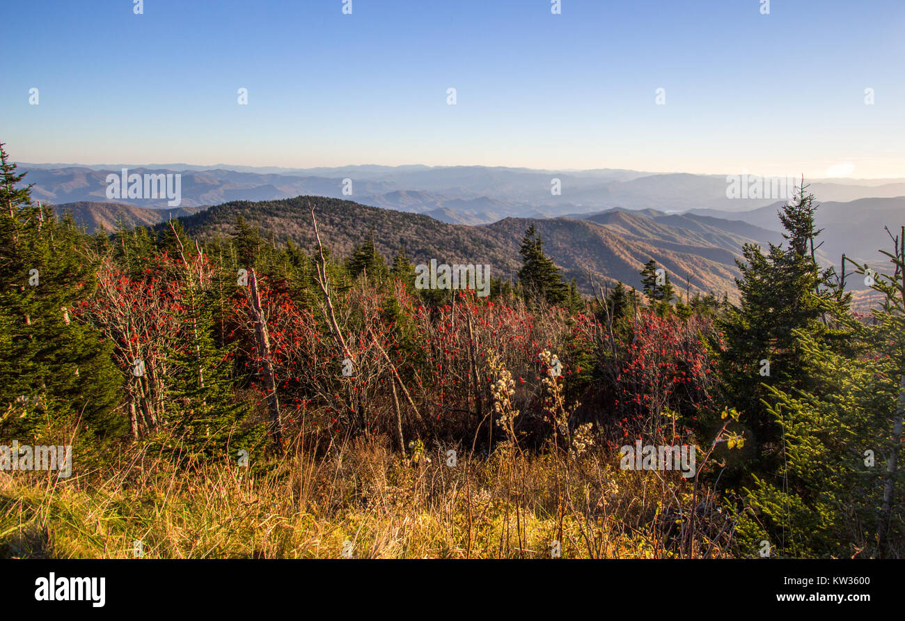 Smoky Mountain Autumn Landscape Panorama. Autumn view of the fall foliage Smoky Mountains from the Clingman's Dome overlook in Gatlinburg, Tennessee. Stock Photo