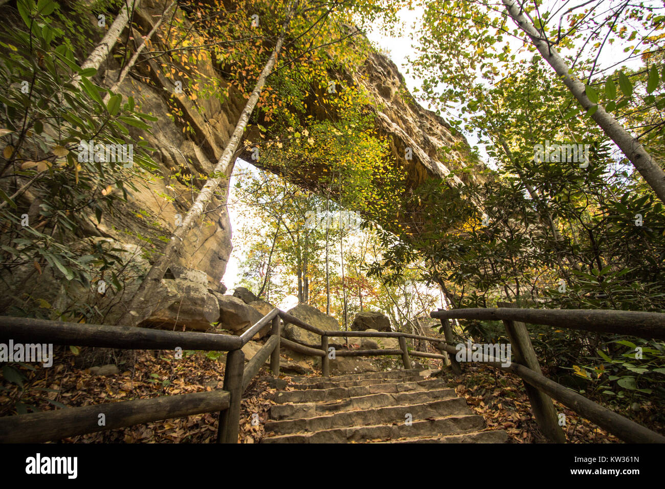 Save  Download Preview     Kentucky State Parks Scenery. View and from under the stone arch in Natural Bridge State Park Stock Photo