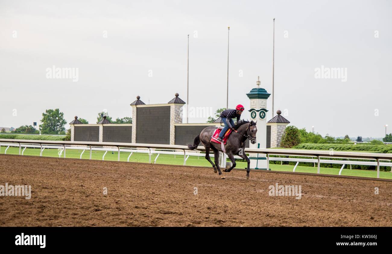 Morning workouts at the world renowned Keeneland racetrack in Lexington, Kentucky. Keeneland race track will be hosting the 2015 Breeders Cup. Stock Photo