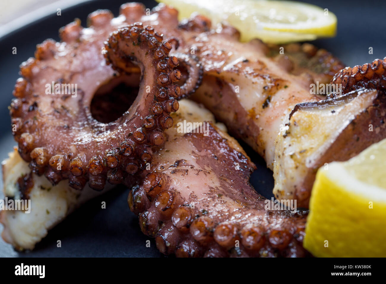 Squid Feeding Tentacles