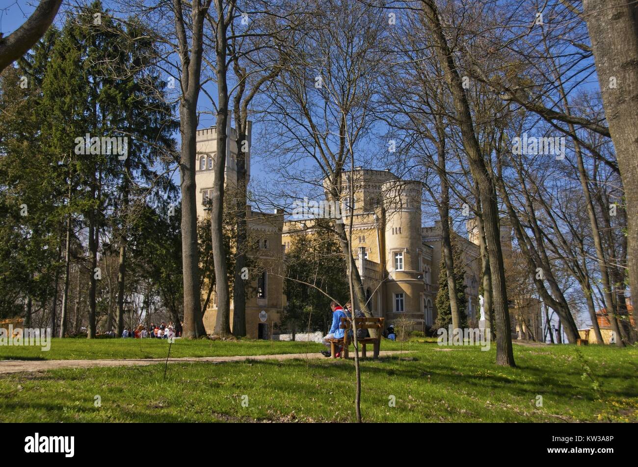 Neo-Gothic Narzymski Palace, Jablonowo Pomorskie, Kuyavian-Pomeranian Voivodeship, Poland Stock Photo