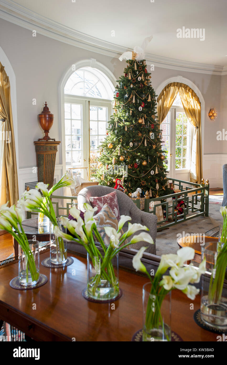 USA Virginia VA Colonial Williamsburg The Williamsburg Inn hotel lobby with Christmas Tree Stock Photo