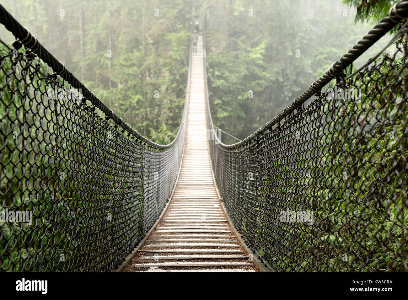 Suspension Bridge in Lynn Canyon Park in North Vancouver, British