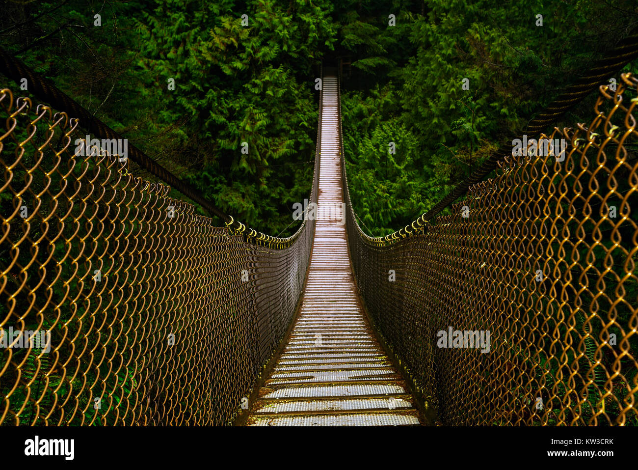 Suspension Bridge in Lynn Canyon Park in North Vancouver, British