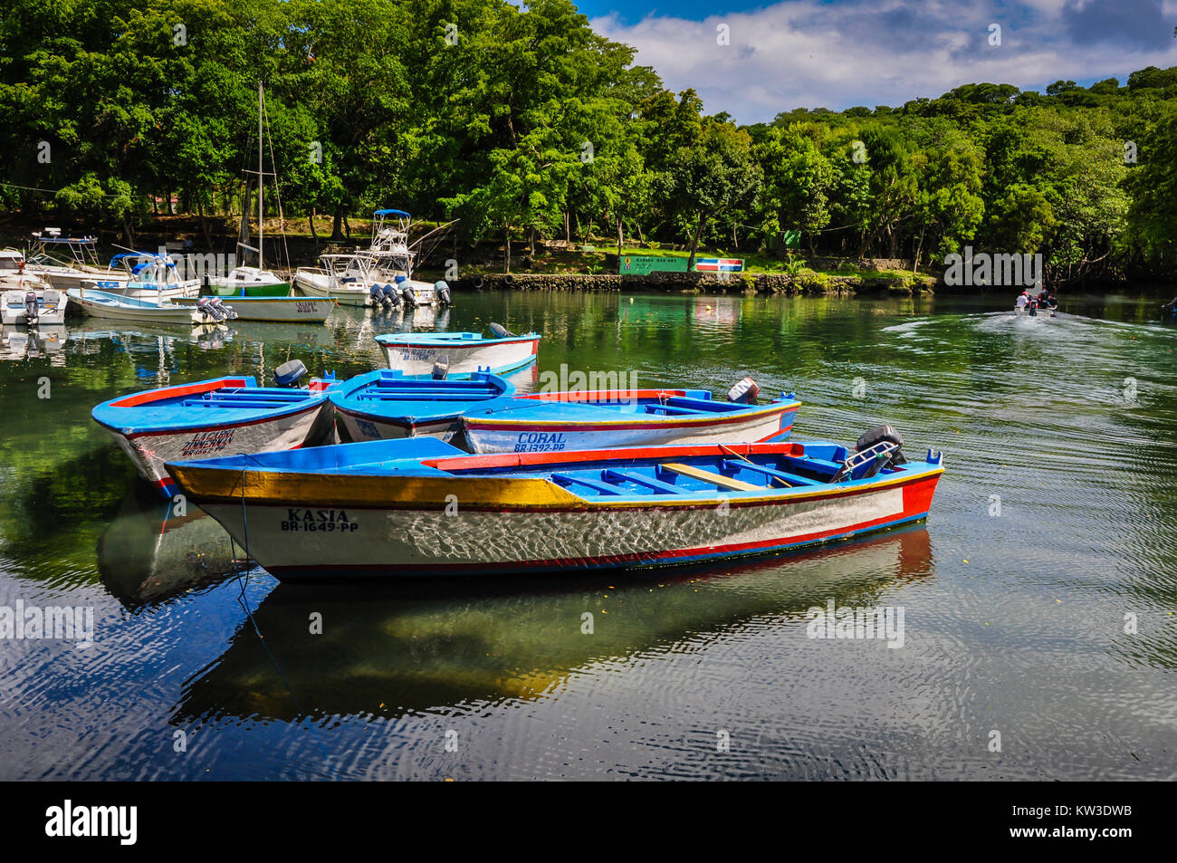 Colorful wooden rowboats tied up in mangrove lagoon in Cabarete, Dominican Republic. Stock Photo