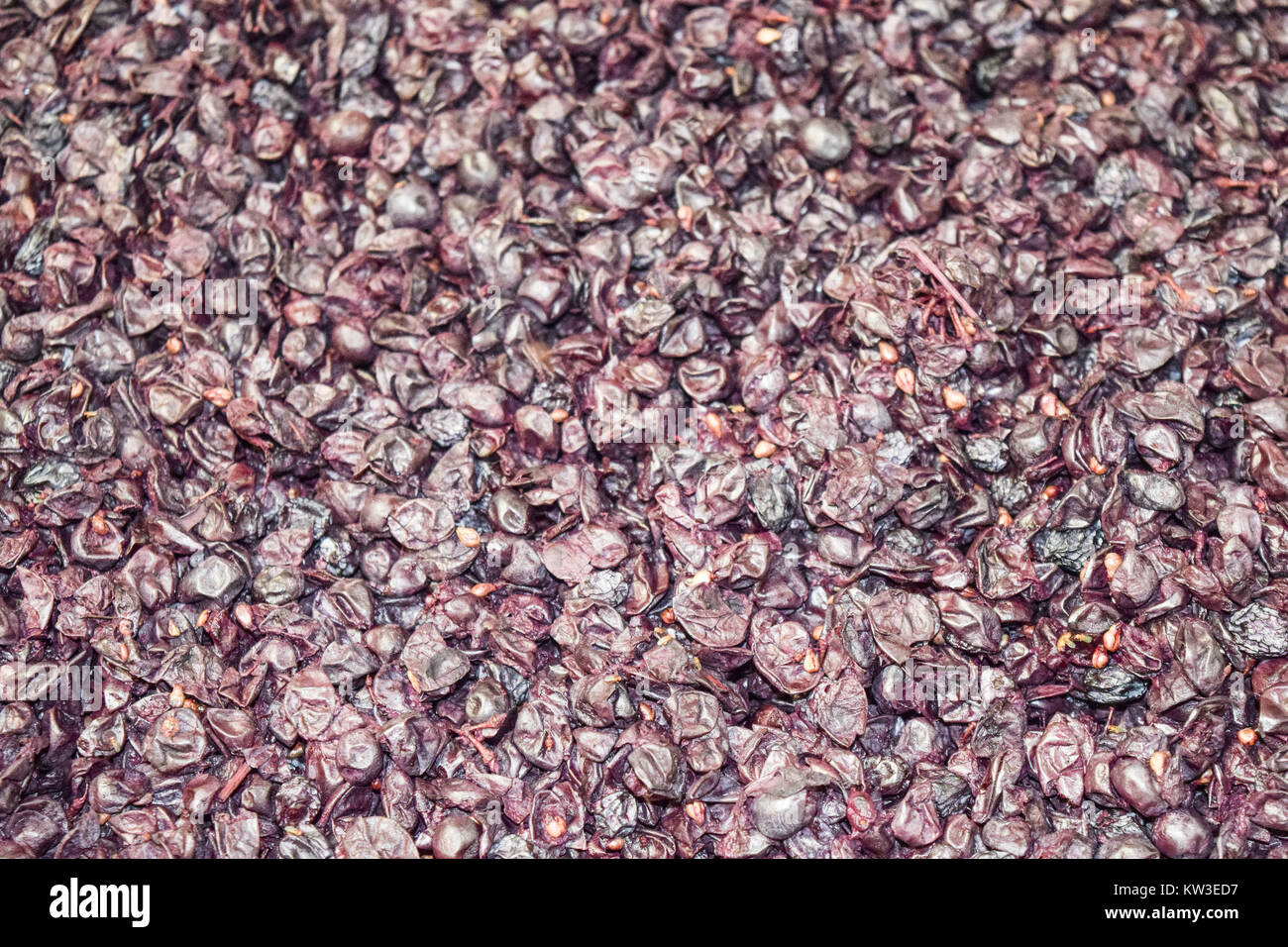 Lots of grape skins hires stock photography and images Alamy