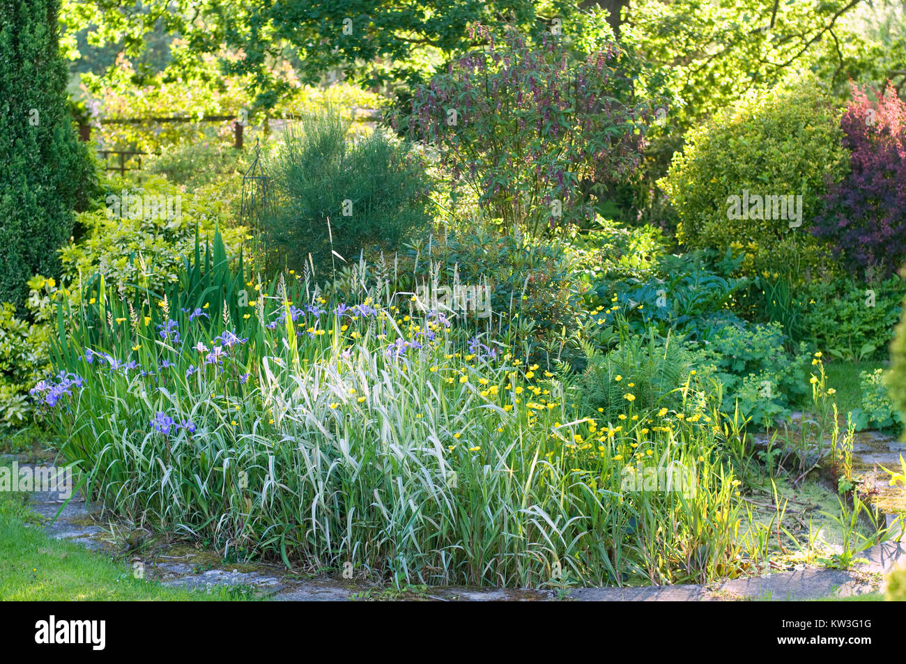 English country garden in summer Stock Photo - Alamy