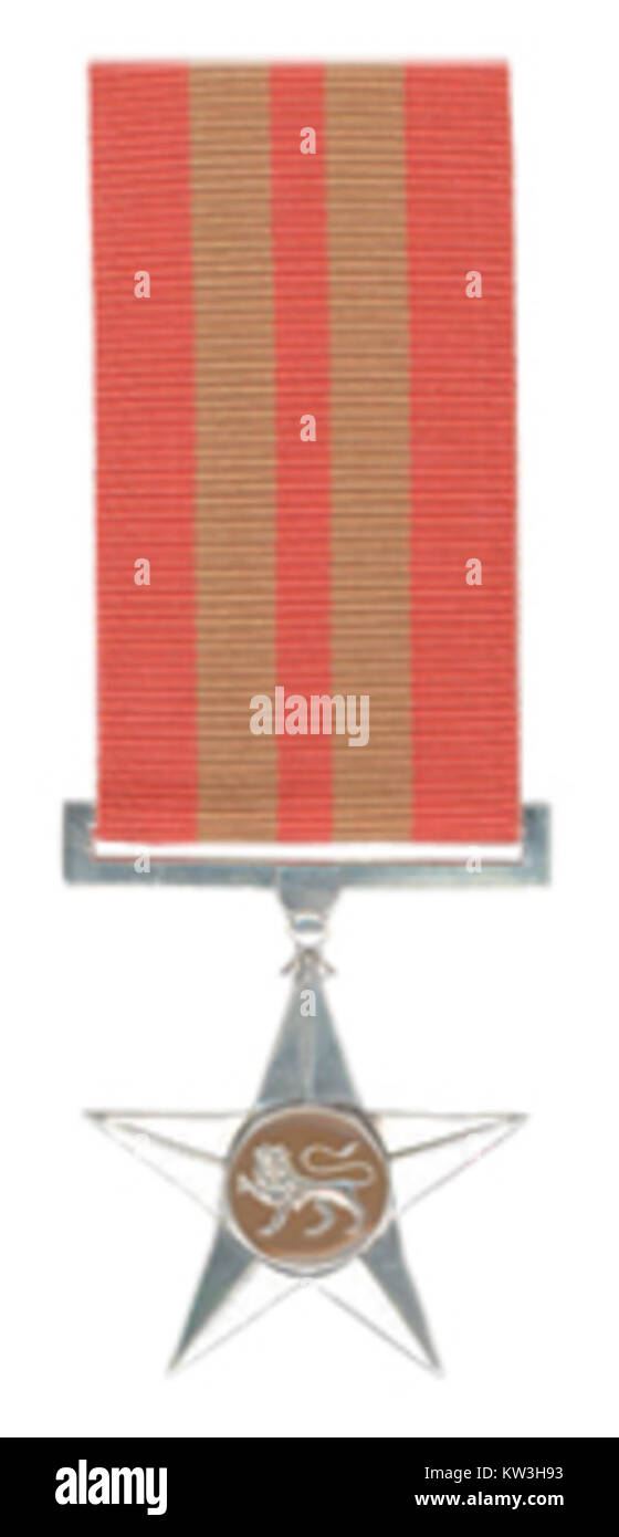 Star for Bravery in Silver Stock Photo Alamy