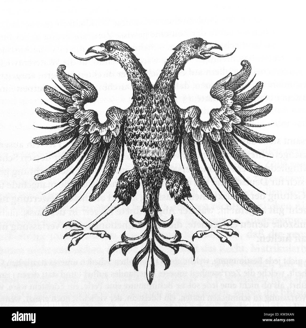 'Bilderrevolution0272' represents a significant moment or movement in the visual arts or photography, emphasizing a transformative period in image-making techniques or cultural representation. Stock Photo