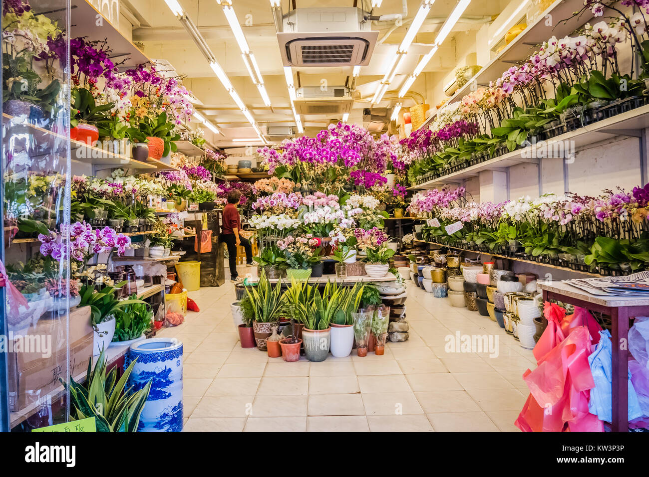 hong kong flower market Stock Photo Alamy