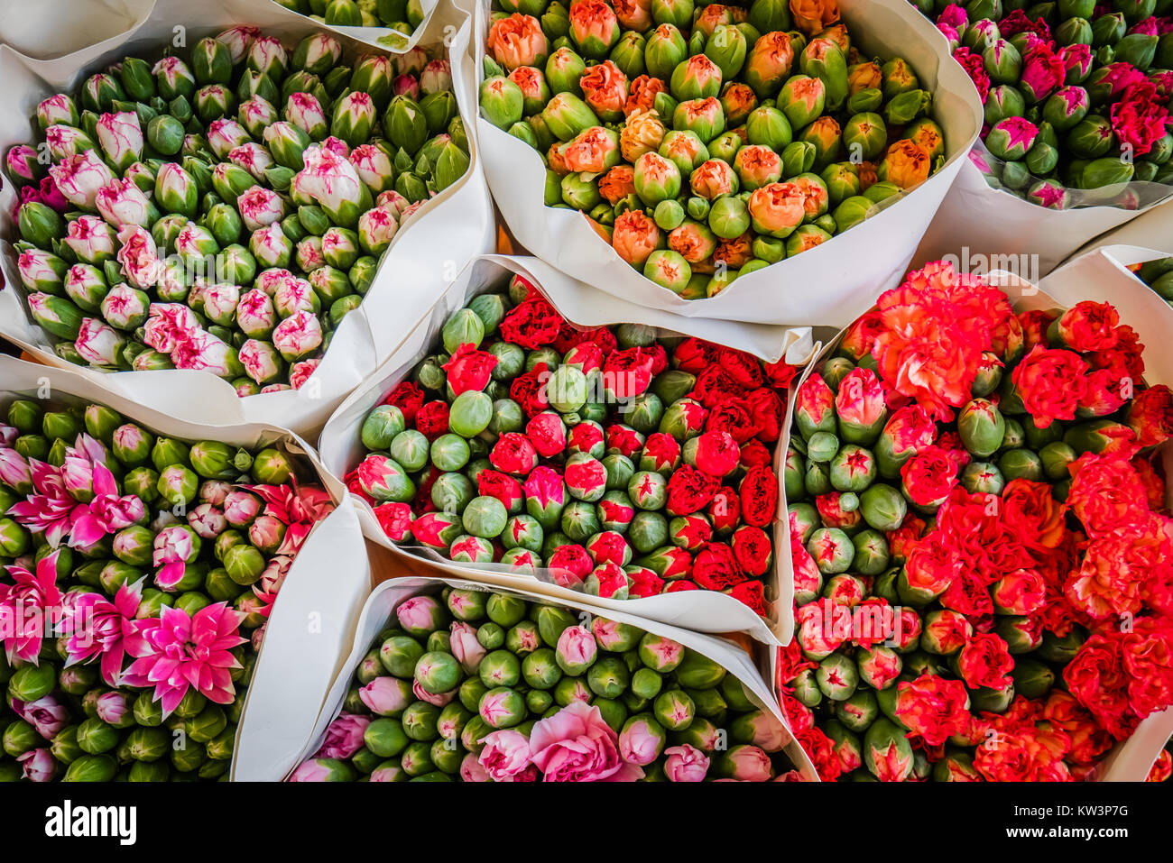 hong kong flower market Stock Photo Alamy