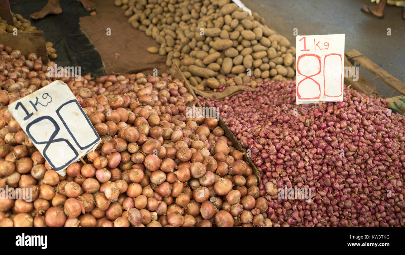 Onions on sale for 80 LKR (rupees) per Kilo in Pettah Market, Colombo, Sri Lanka Stock Photo