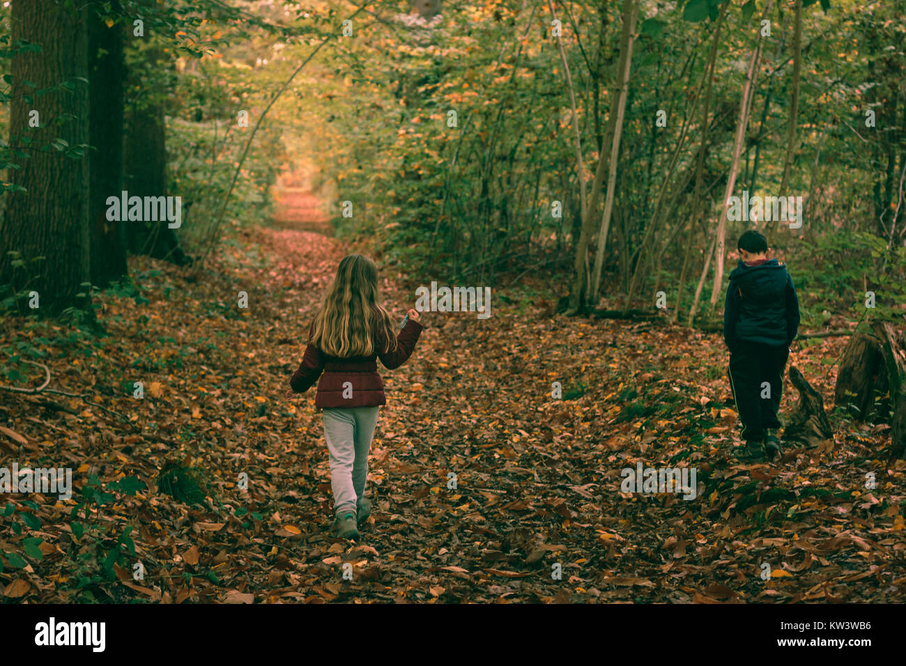 Boy and girl walking in a forest in autumn Stock Photo - Alamy
