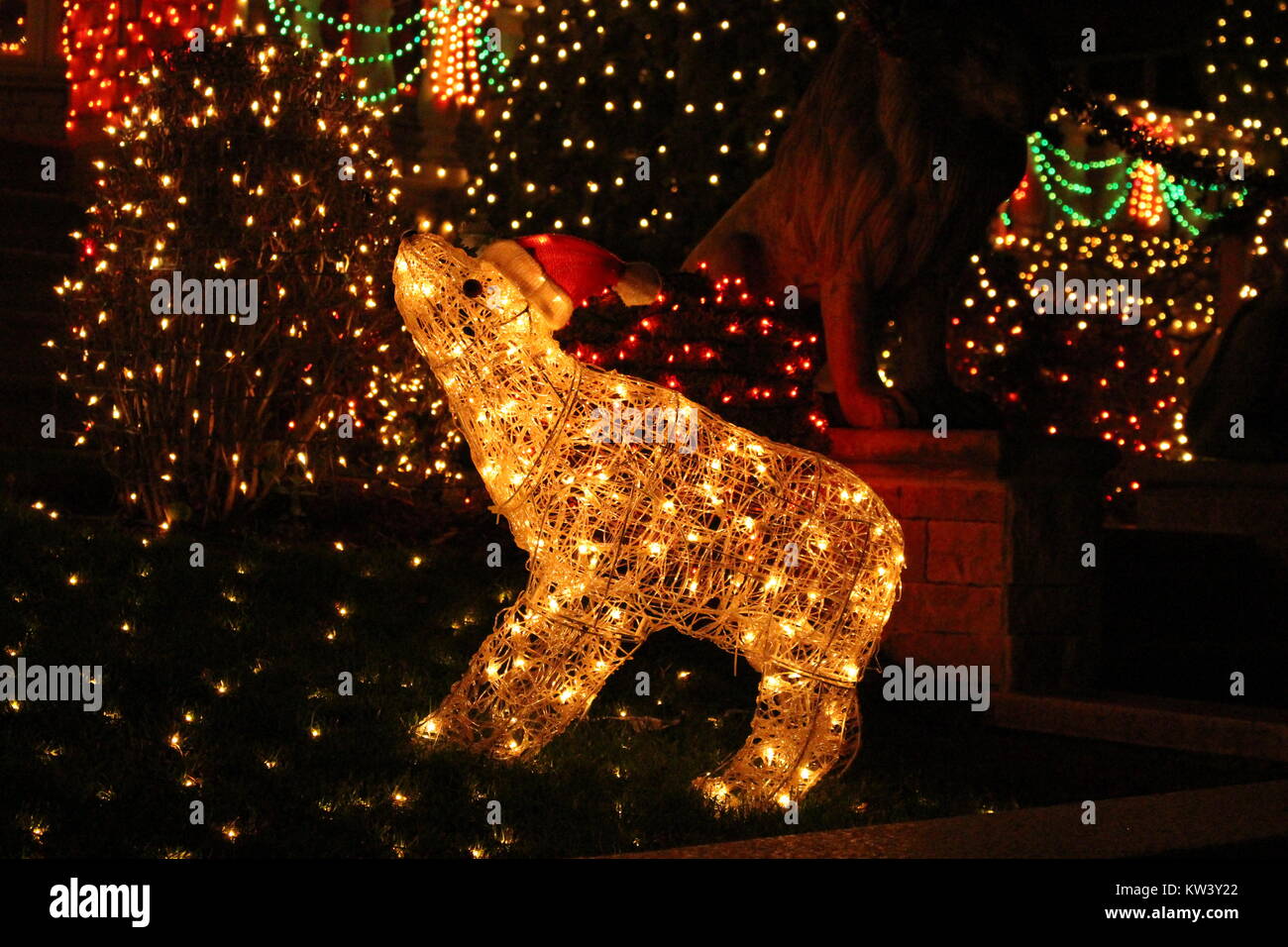 christmas bear lights