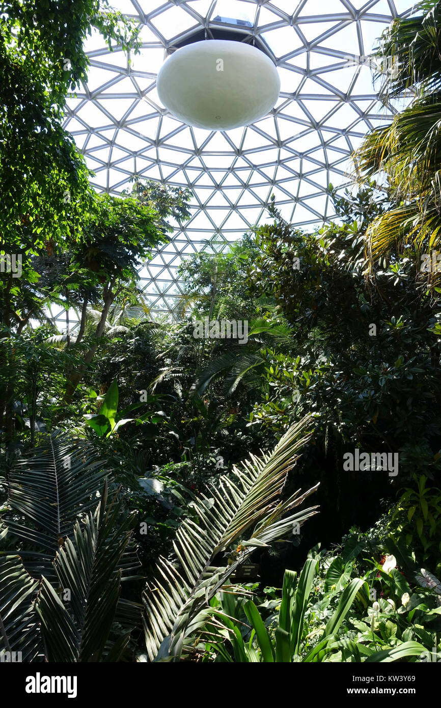 Bloedel Floral Conservatory, Queen Elizabeth Park Vancouver, Canada ...