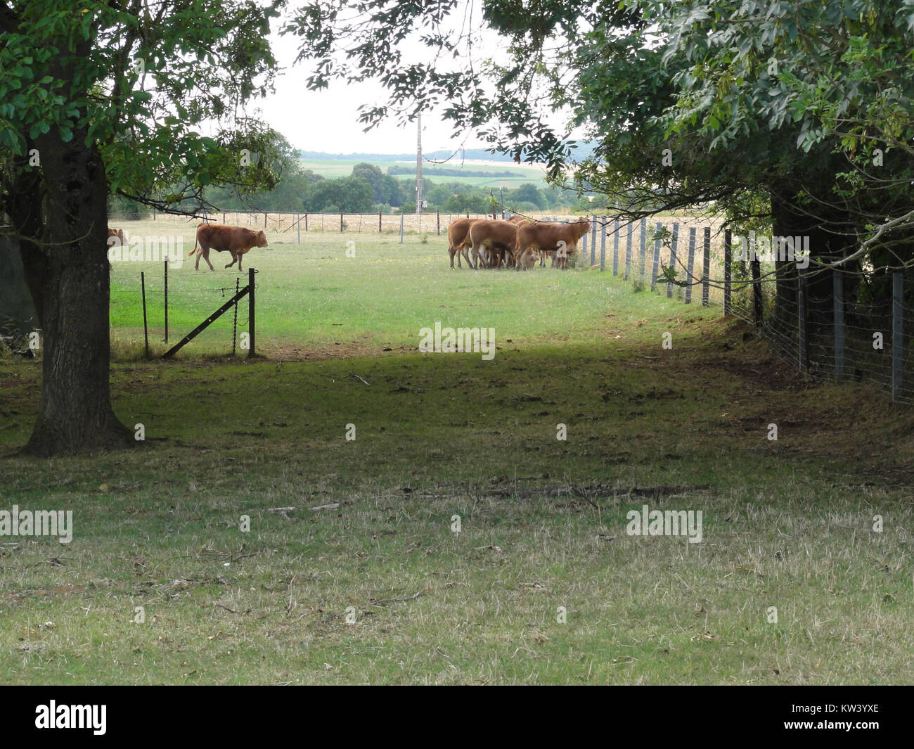Boismont (Meurthe et M.) paysage Stock Photo Alamy