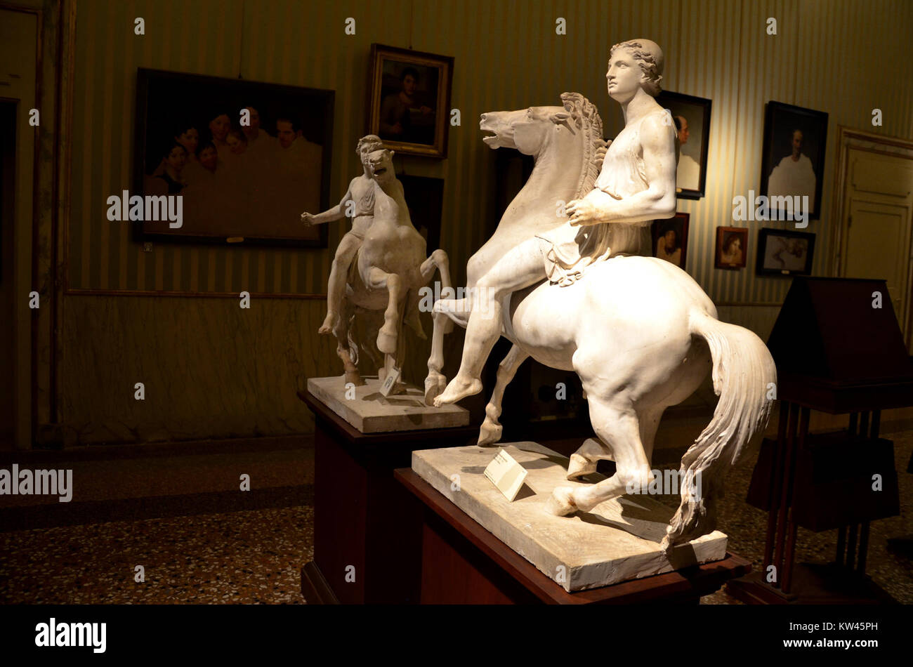 The Museo Collezioni Comunali in Bologna, housed in Palazzo d'Accursio, is an important cultural institution. It showcases a collection of art and historical objects significant to Bologna's heritage and history. Stock Photo