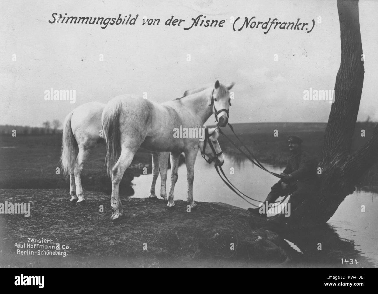 German solider with two horses, with original caption reading Stimmungsbild von der Aisne (Nordfrankr.), 1900. Stock Photo