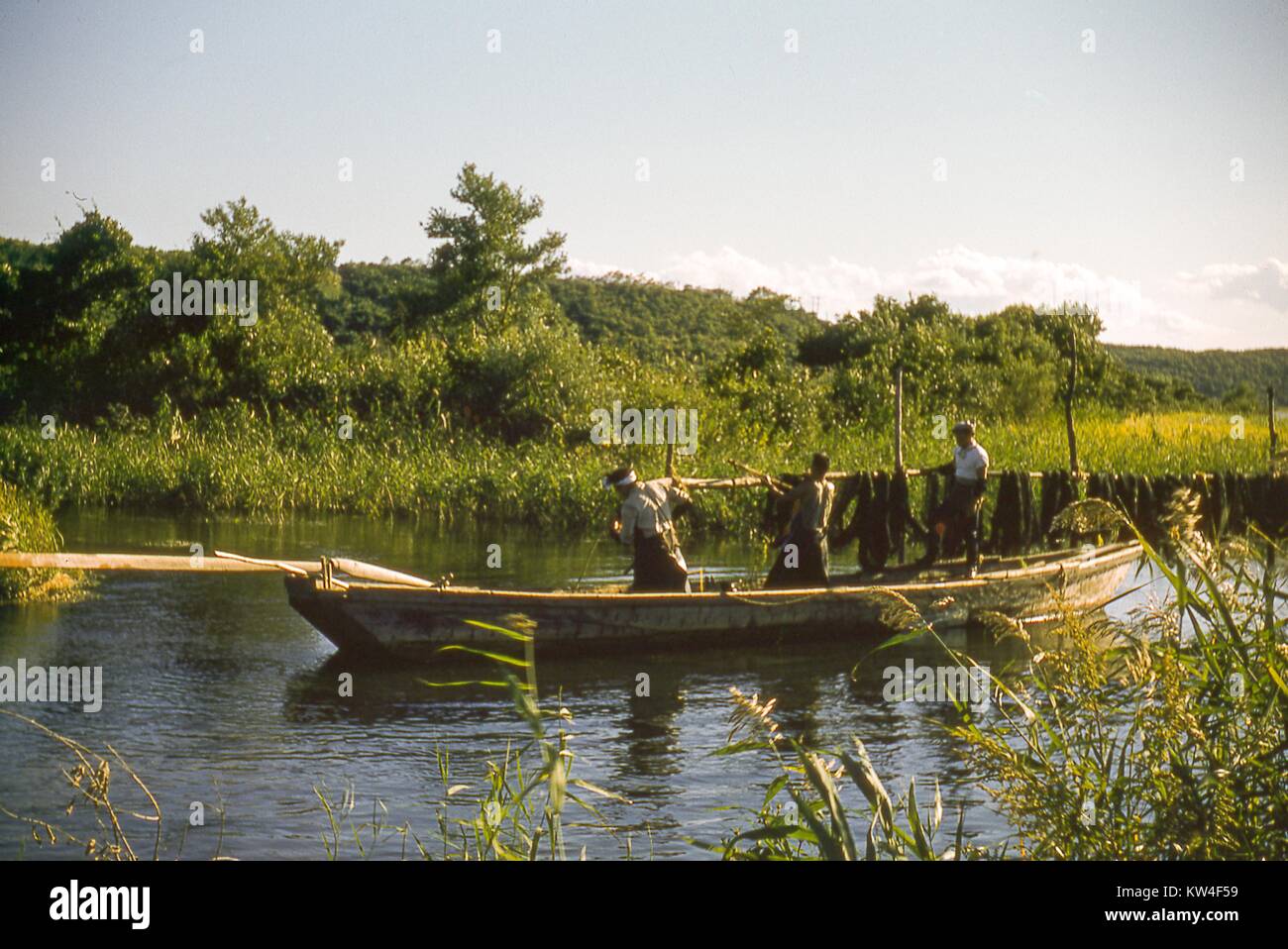 Japanese workers aboard a traditional boat fishing on a river, with foliage in the background, Japan, 1952. Stock Photo