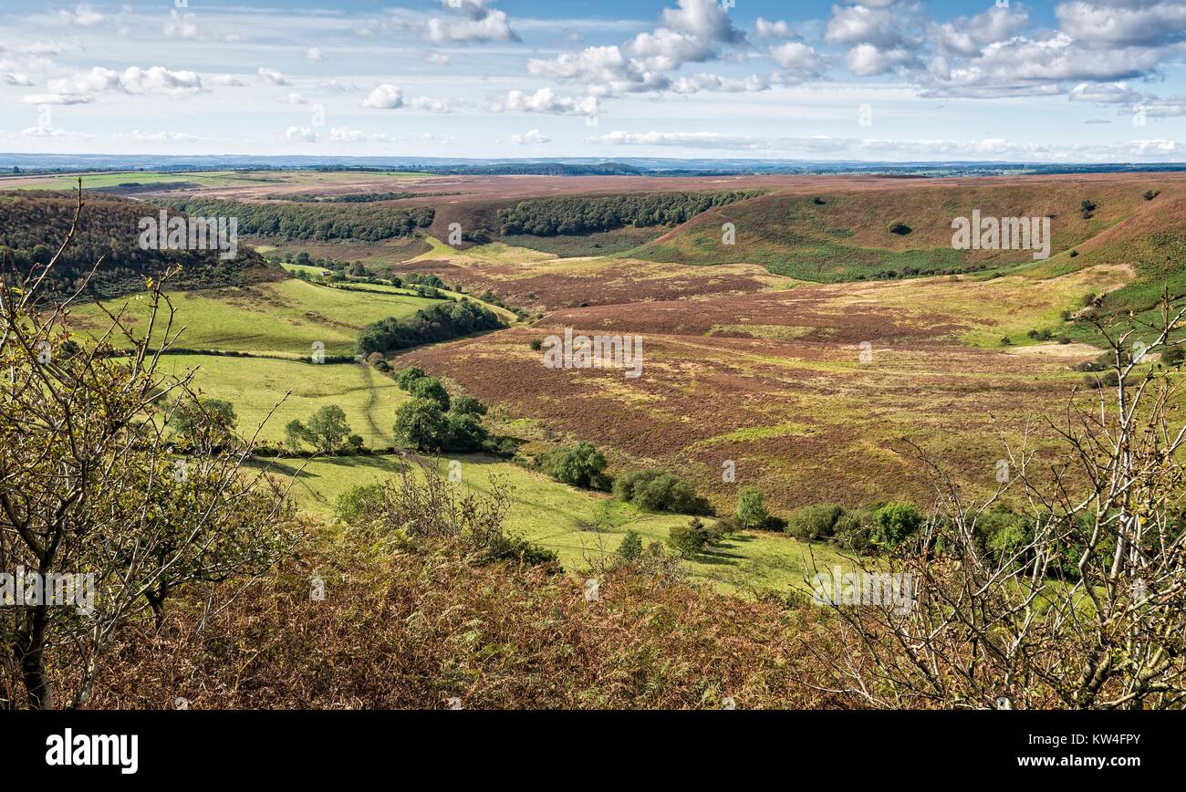 North York Moors. Saltergate. Panoramic view of deep and wide valley