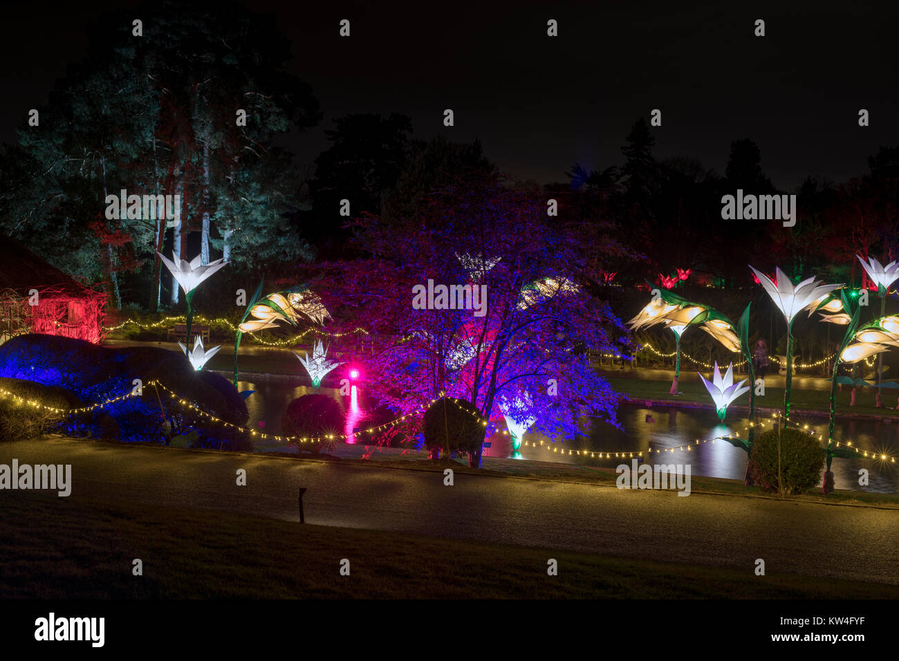 Christmas lights and lit up flower decorations around the pond. RHS Wisley gardens, Surrey, England. Christmas Glow Festival 2017 Stock Photo