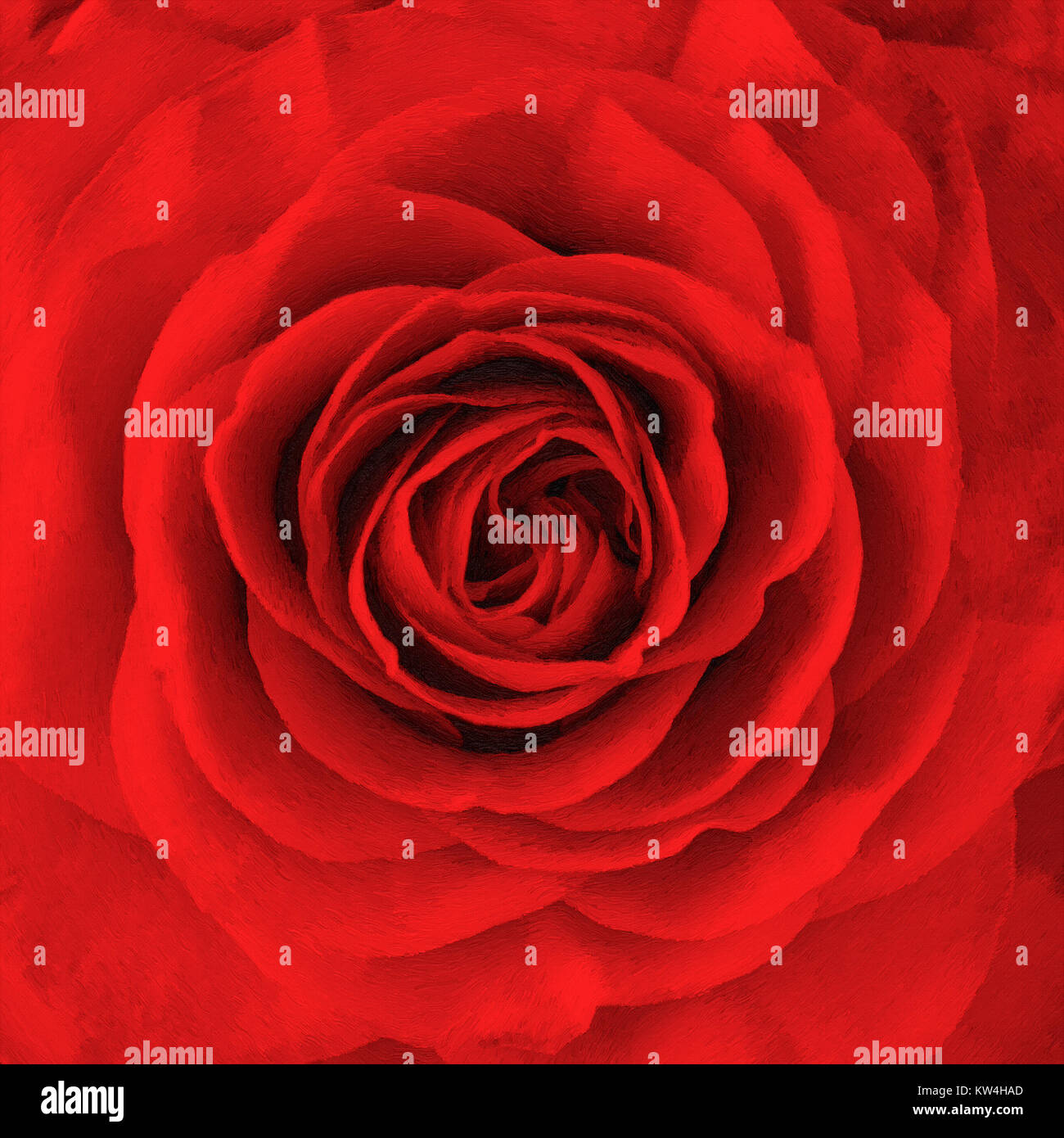 rose flower, oil Painting Stock Photo Alamy