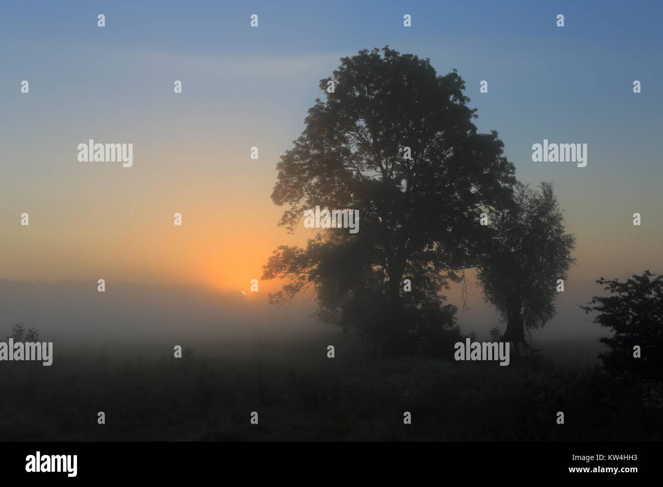 The first rays of the sun Stock Photo - Alamy