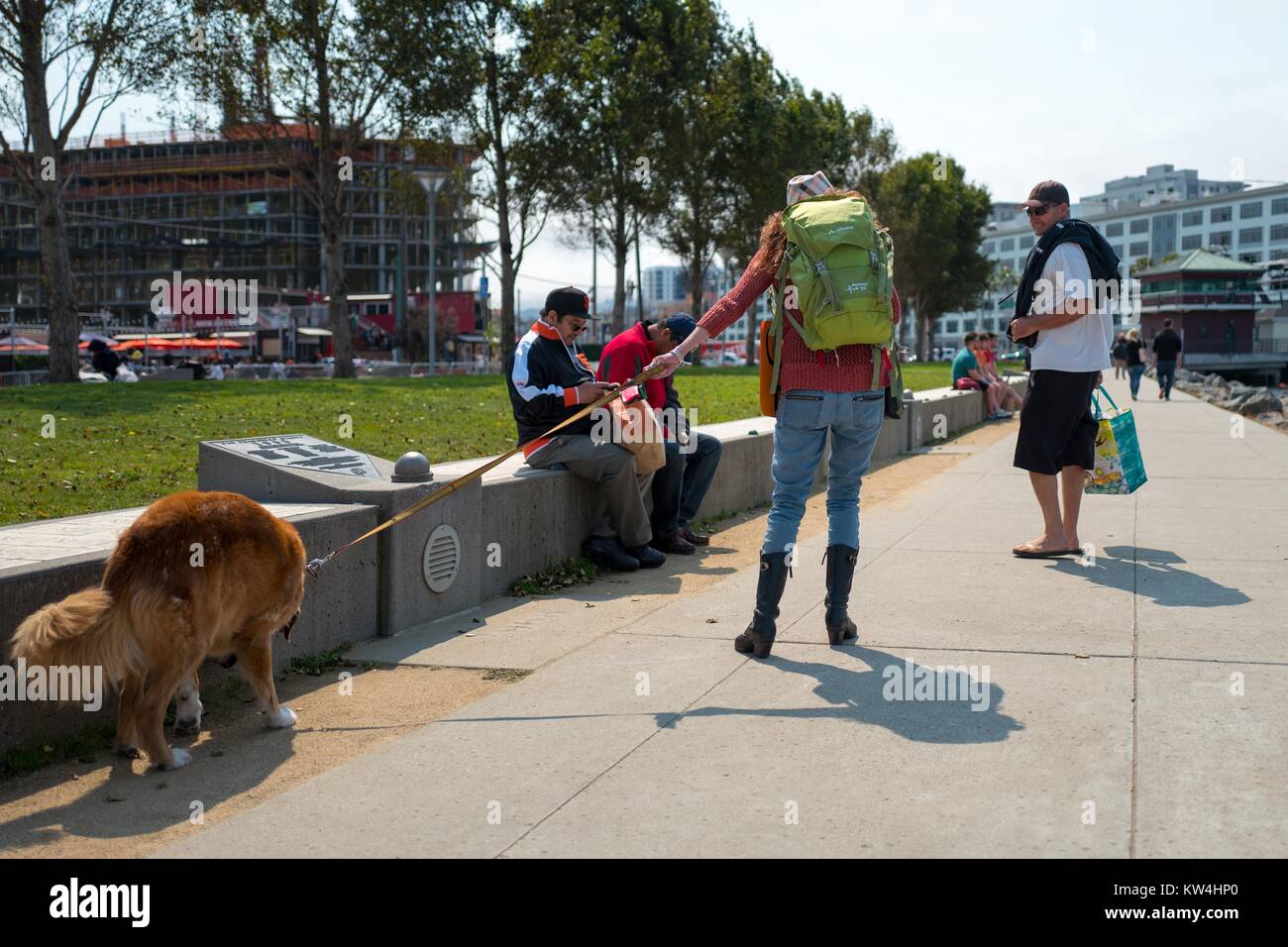 A couple walk their dog through China Basin Park before the Dog Days of Summer promotional baseball game, a yearly event in which the San Francisco Giants baseball team allows fans to bring their dogs to a regular season game, near ATT Park in the China Basin neighborhood of San Francisco, California, August 21, 2016. Stock Photo